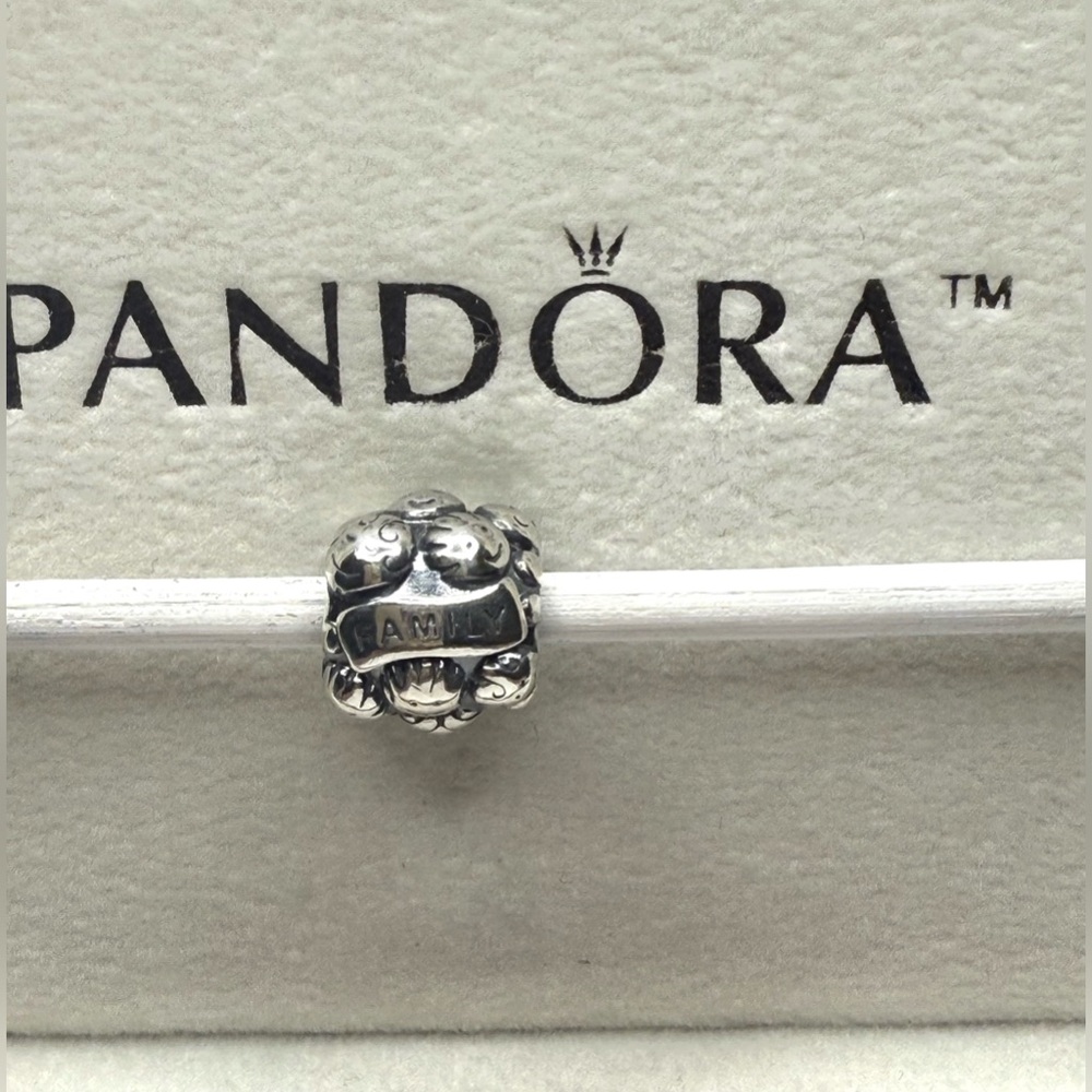 Retired Sterling Silver Pandora Love & Family Charm 791039